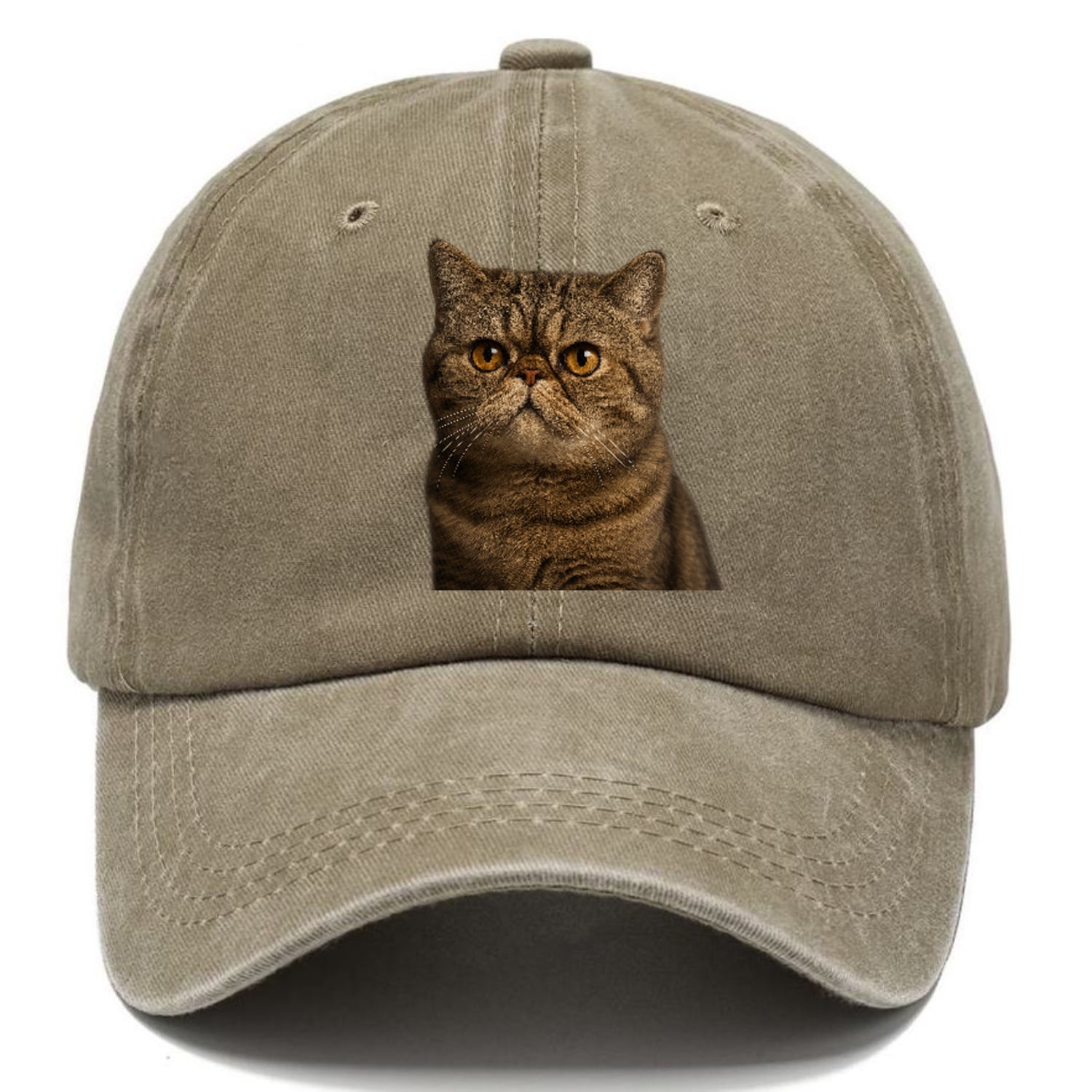 exotic-shorthair-charm Hat
