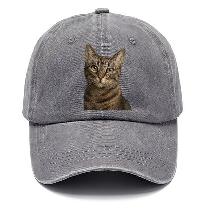 curious-cat-inquisitive-nature Hat