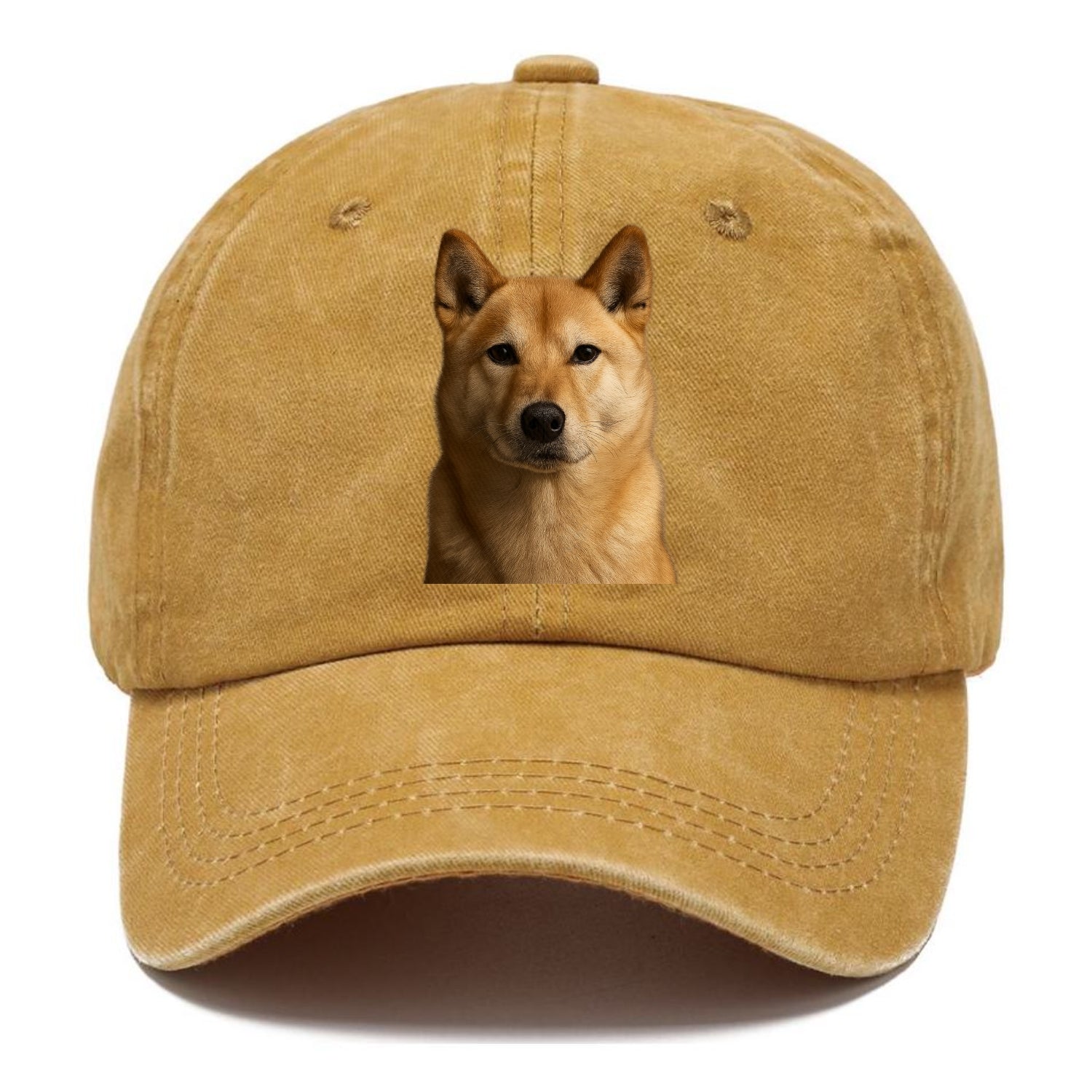 guardian Hat