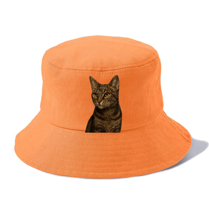alert-cat-ready-radiant Hat