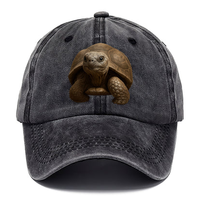 tortoise portrait design Hat