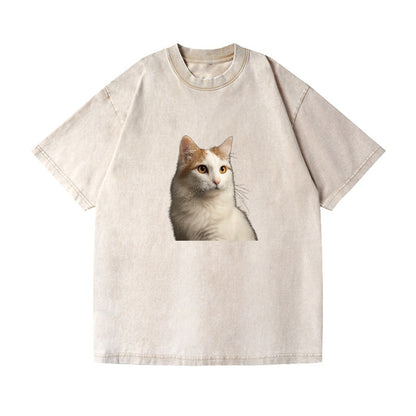 turkish-van-aquatic-elegance Hat