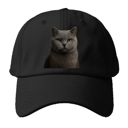 british shorthair dignified charm Hat