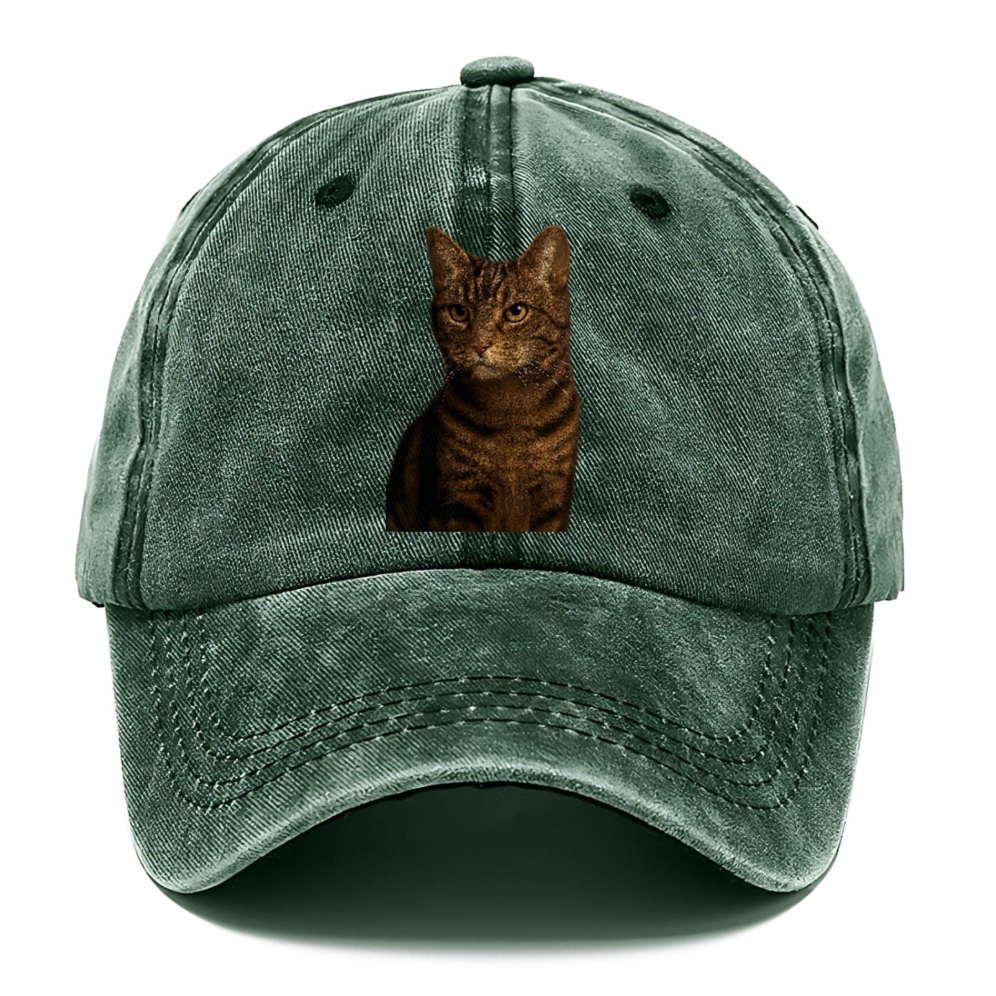 brown-tabby-cozy-charm Hat