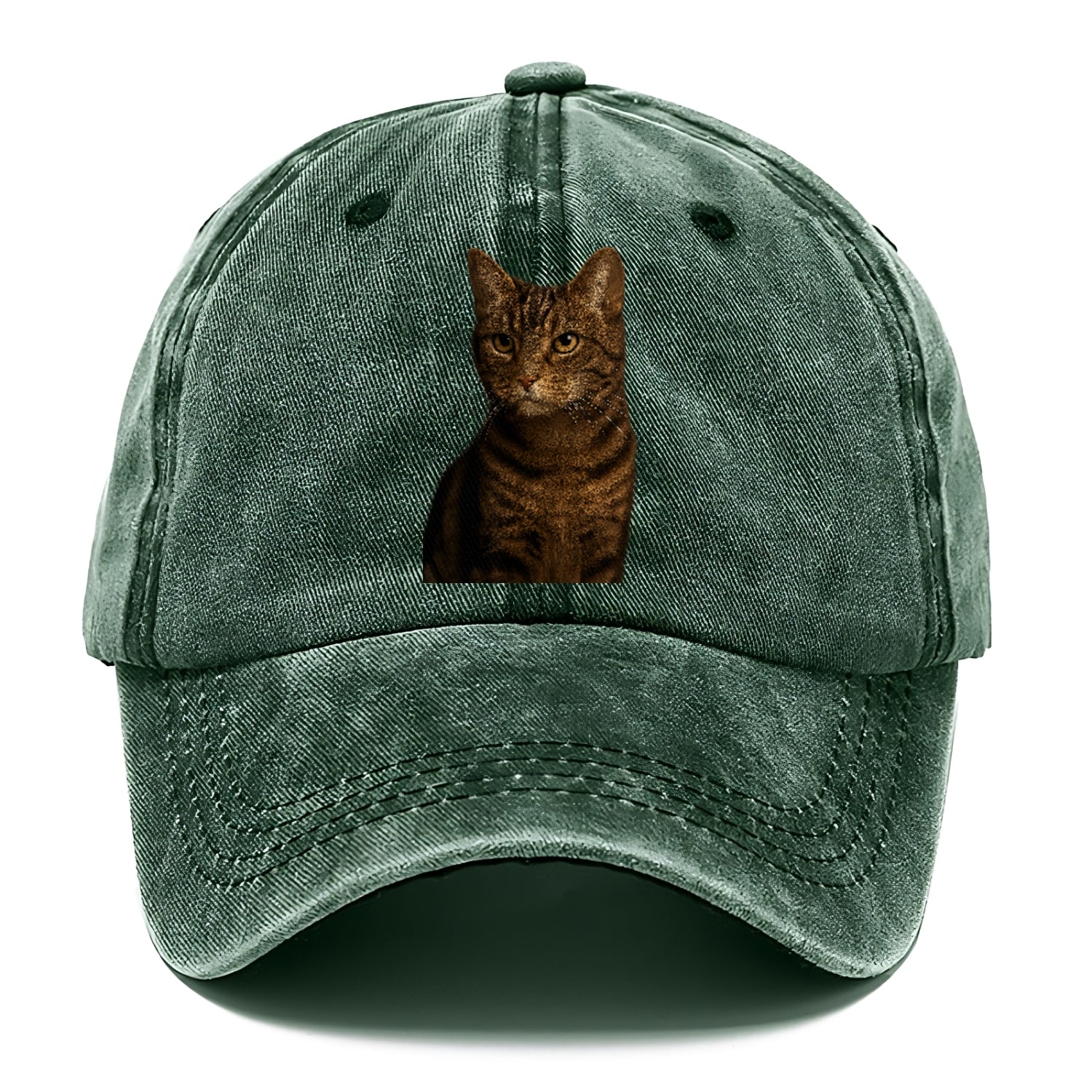 brown-tabby-cozy-charm Hat