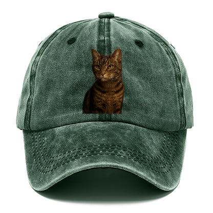 brown-tabby-cozy-charm Hat