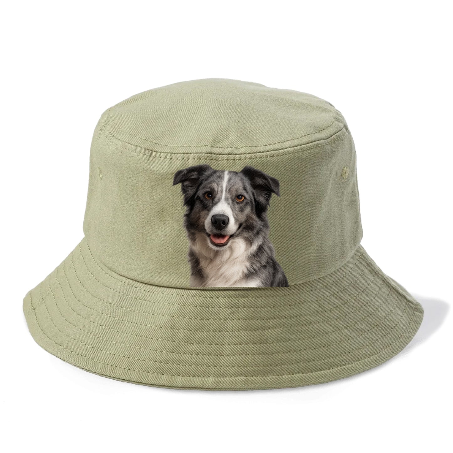 blue merle border collie agile mind Hat