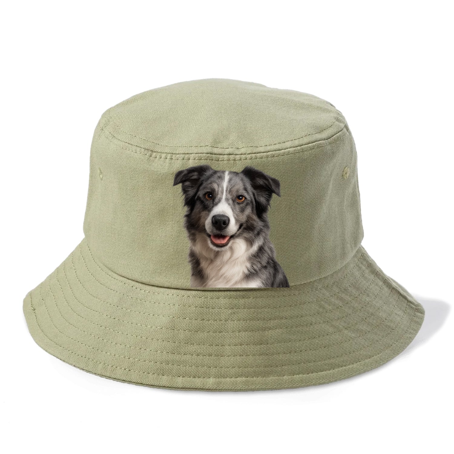 blue merle border collie agile mind Hat