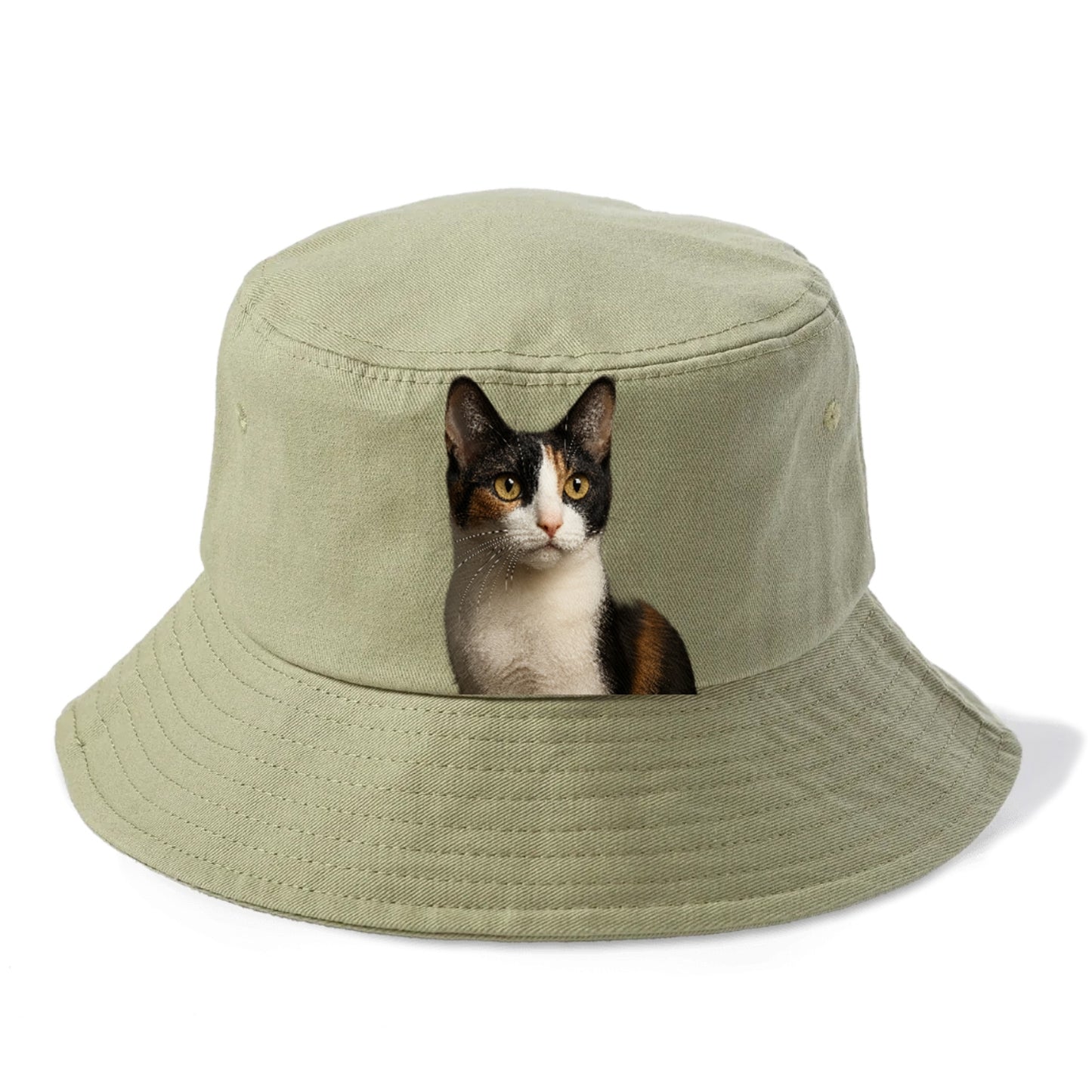 japanese-bobtail-playful-charm Hat