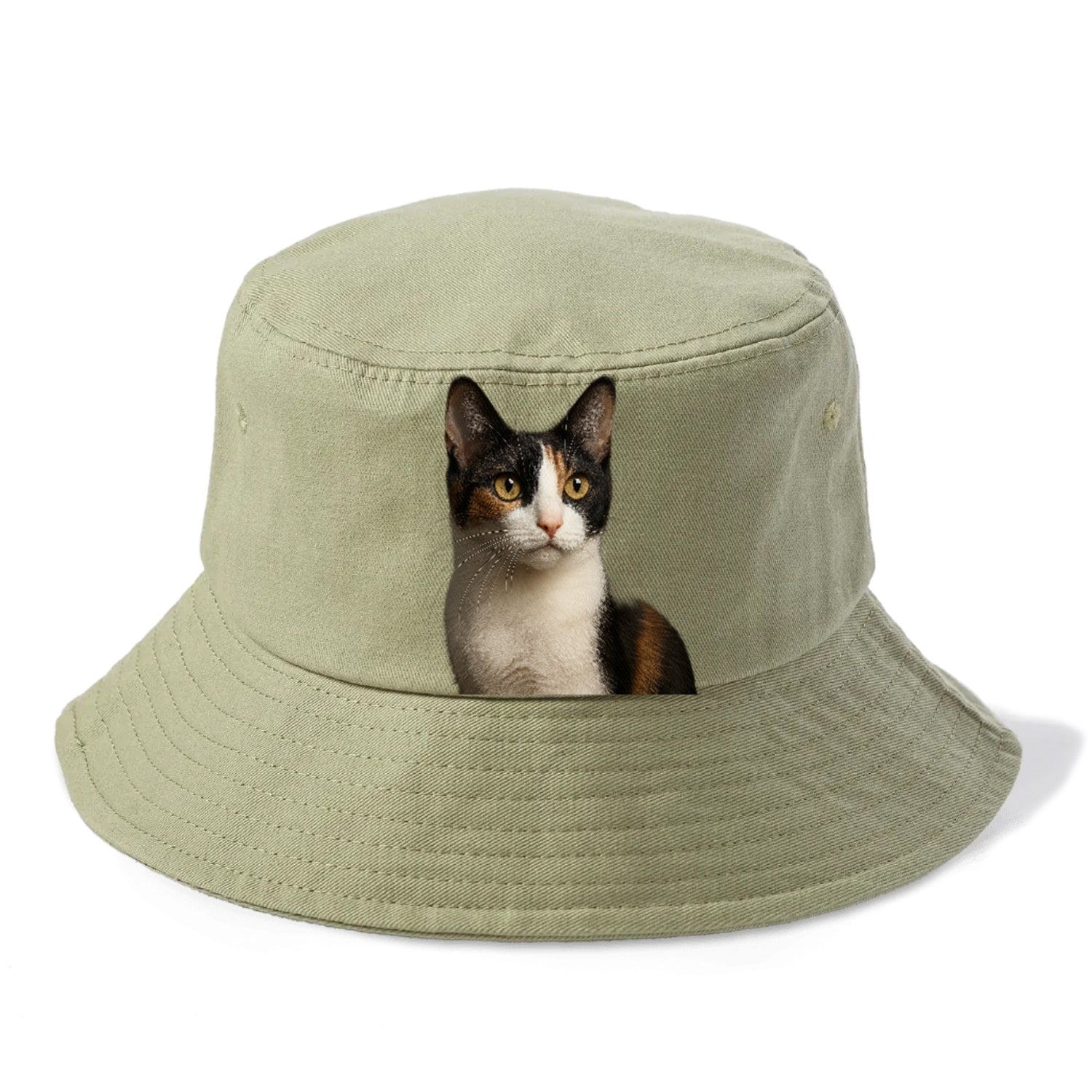 japanese-bobtail-playful-charm Hat