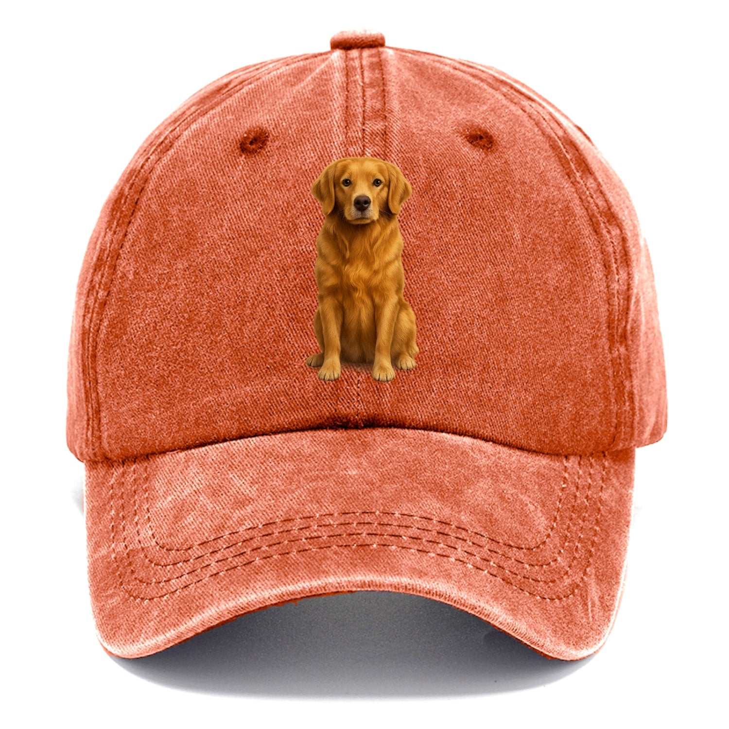 golden retriever portrait on brown background Hat