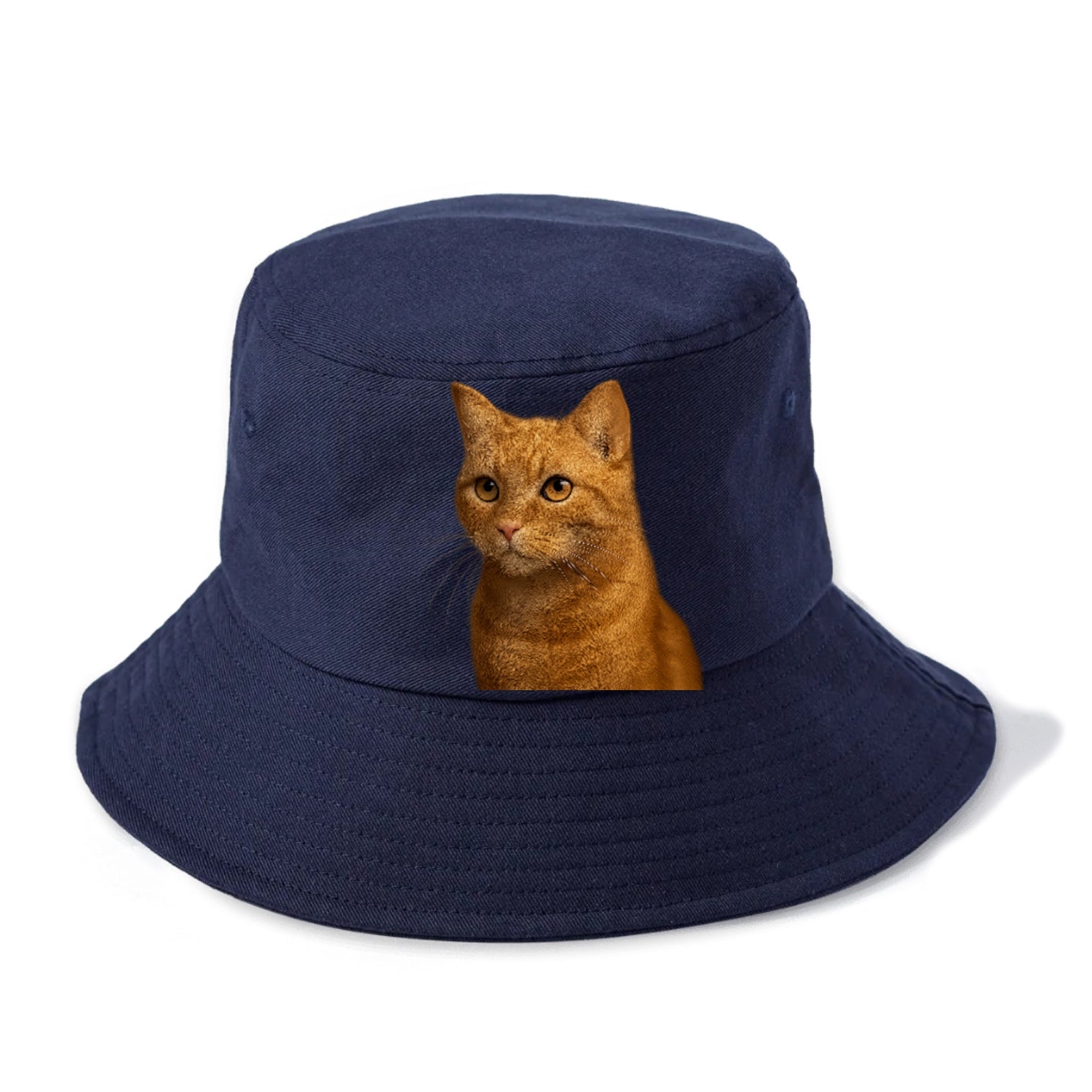 ginger-cat-playful-spirit Hat