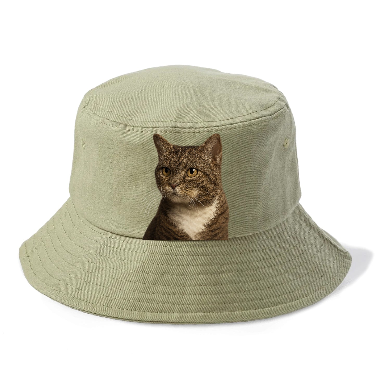 american-wirehair-unique-charm Hat