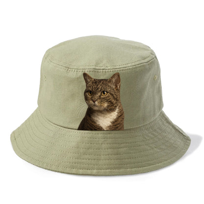 american-wirehair-unique-charm Hat