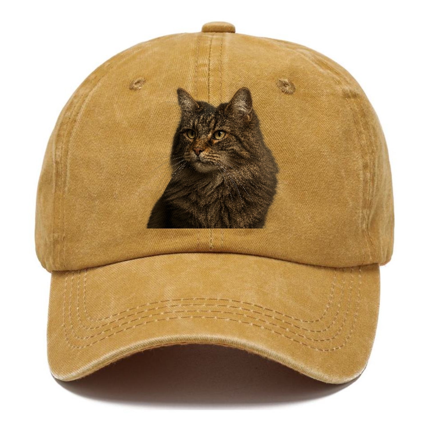 norwegian-forest-cat-wild-majesty Hat