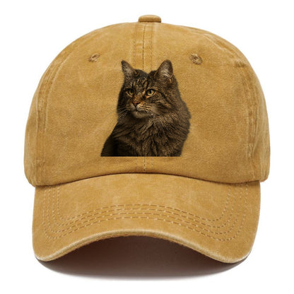 norwegian-forest-cat-wild-majesty Hat