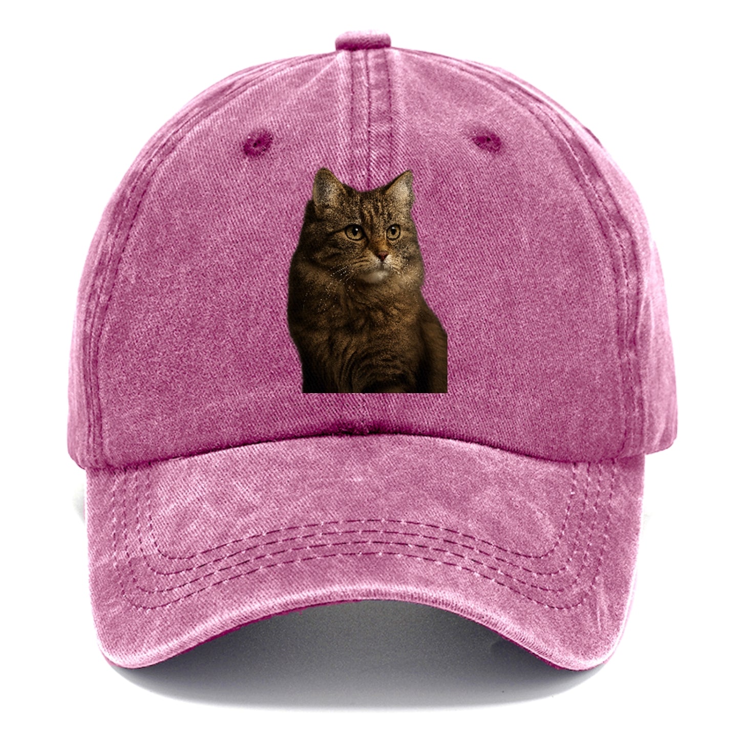 domestic-longhair-graceful-flow Hat