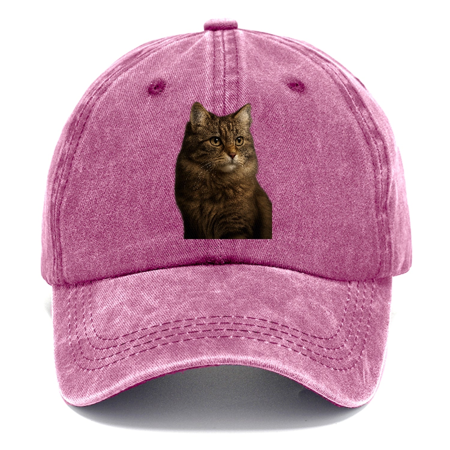 domestic-longhair-graceful-flow Hat