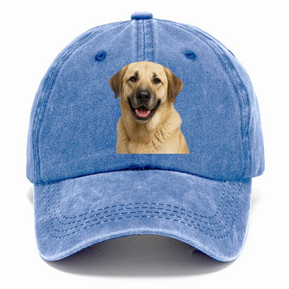 anatolian shepherd: noble protector's pride Hat