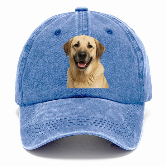 anatolian shepherd: noble protector's pride Hat