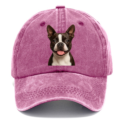 boston terrier: dapper & devoted companion Hat