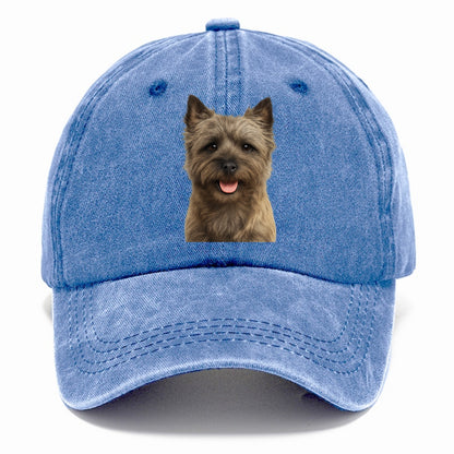 cairn terrier: spirited & charming scamp Hat