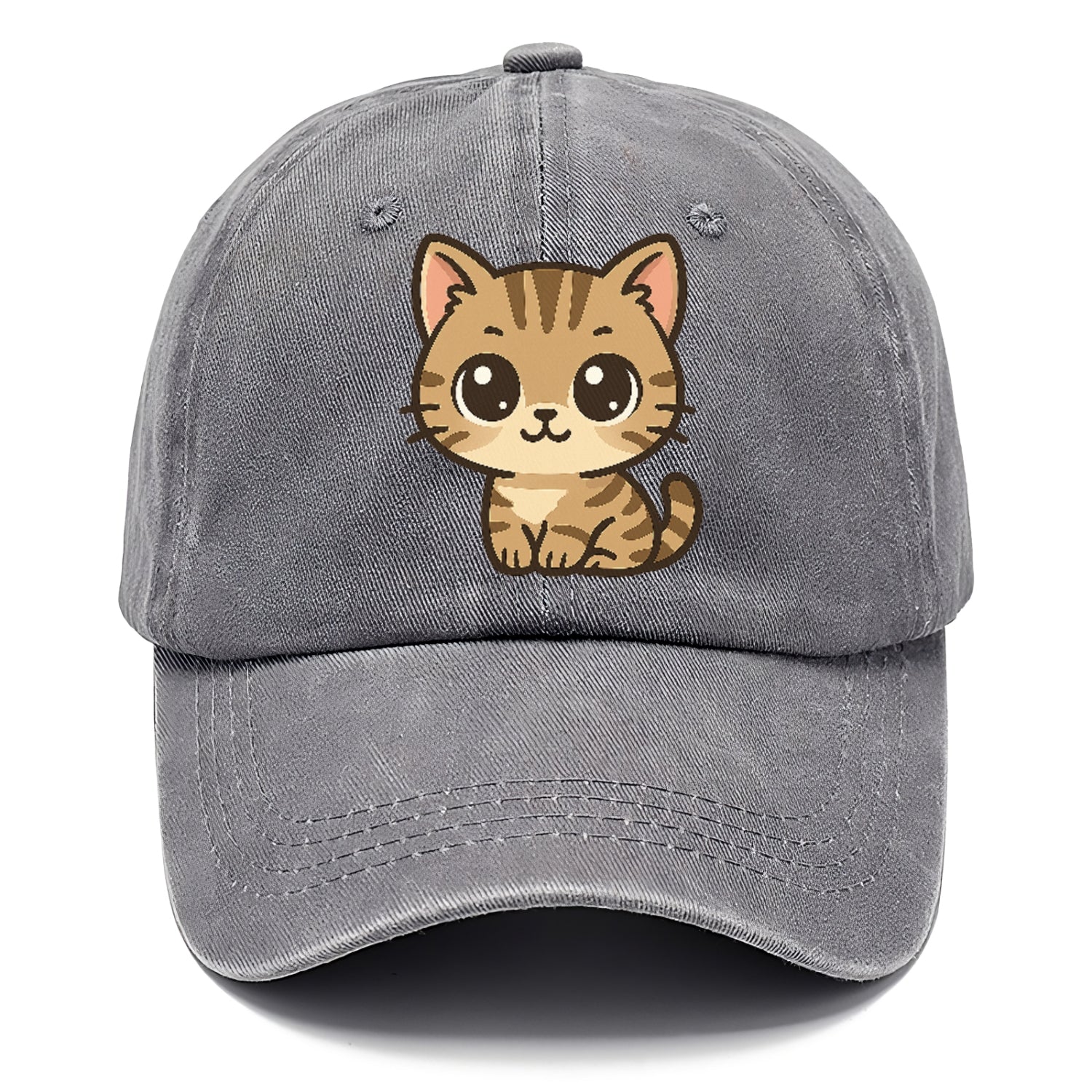 tabby-mix-playful-spirit Hat