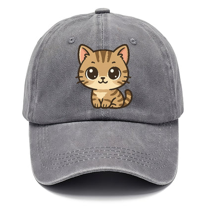 tabby-mix-playful-spirit Hat