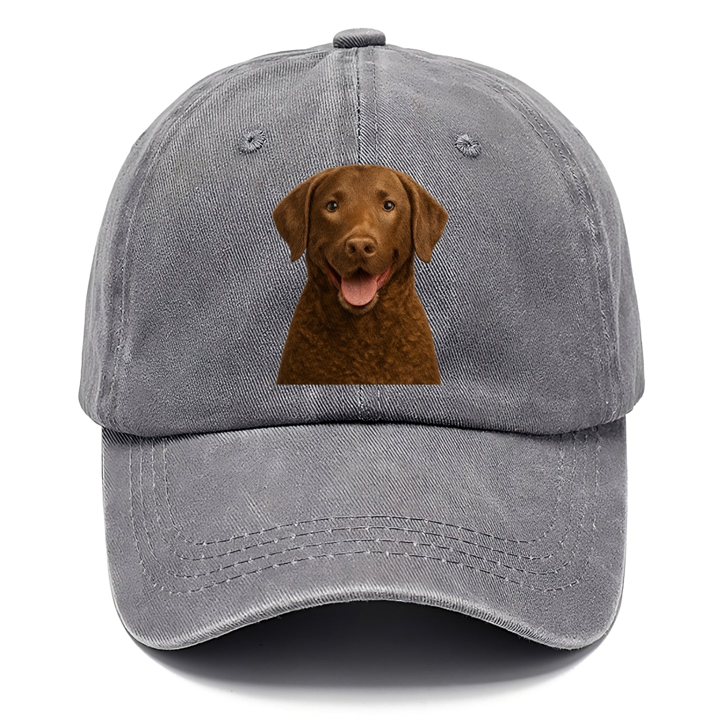 chesapeake bay retriever: rugged waterdog spirit Hat