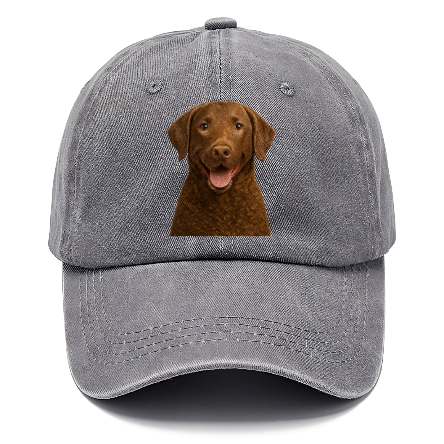 chesapeake bay retriever: rugged waterdog spirit Hat