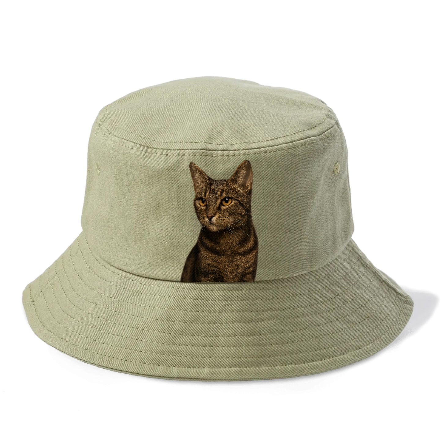 alert-cat-ready-radiant Hat
