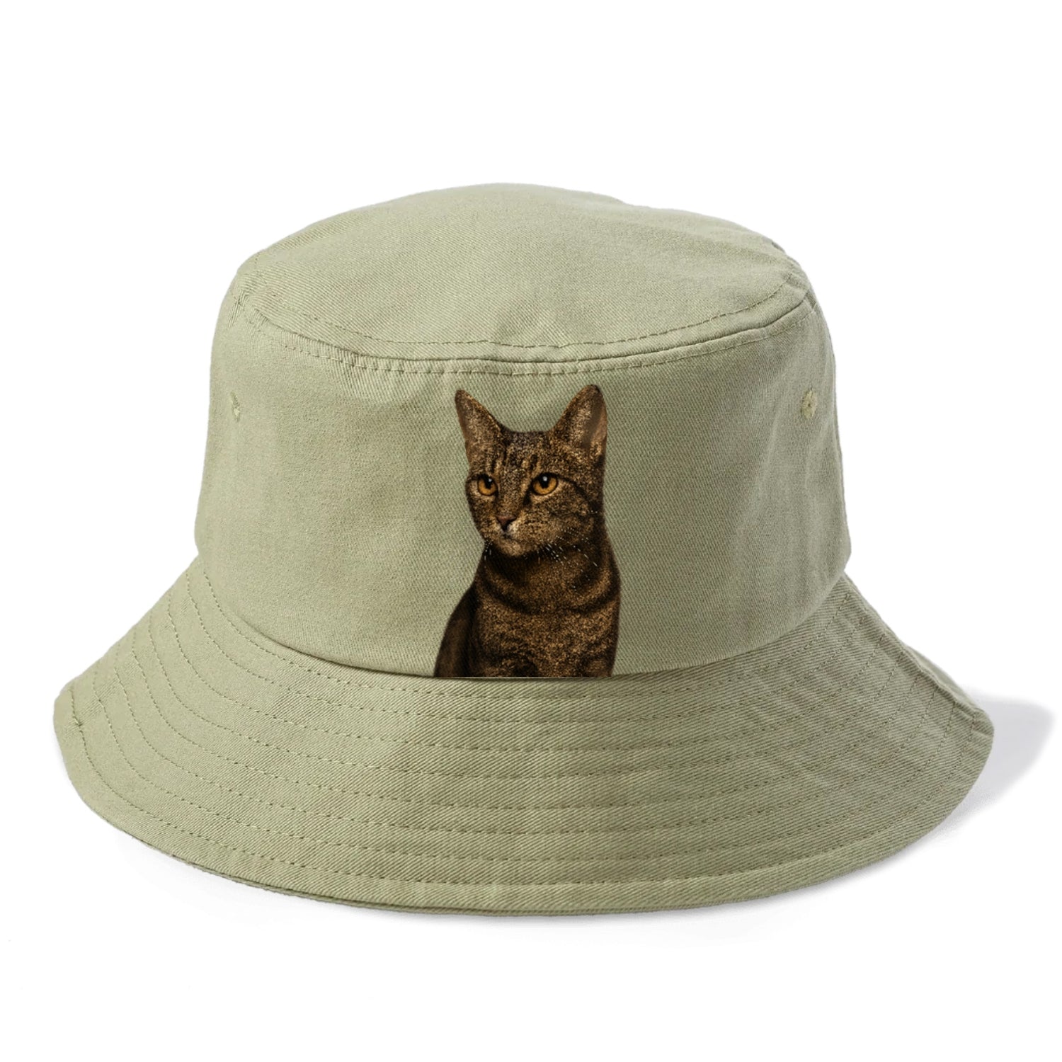 alert-cat-ready-radiant Hat