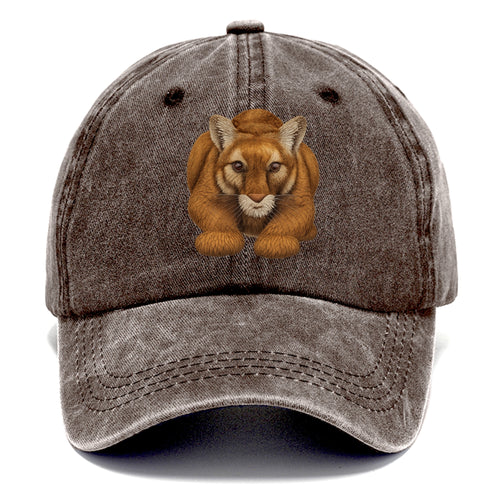 Mountain Lion's Serene Gaze Classic Cap