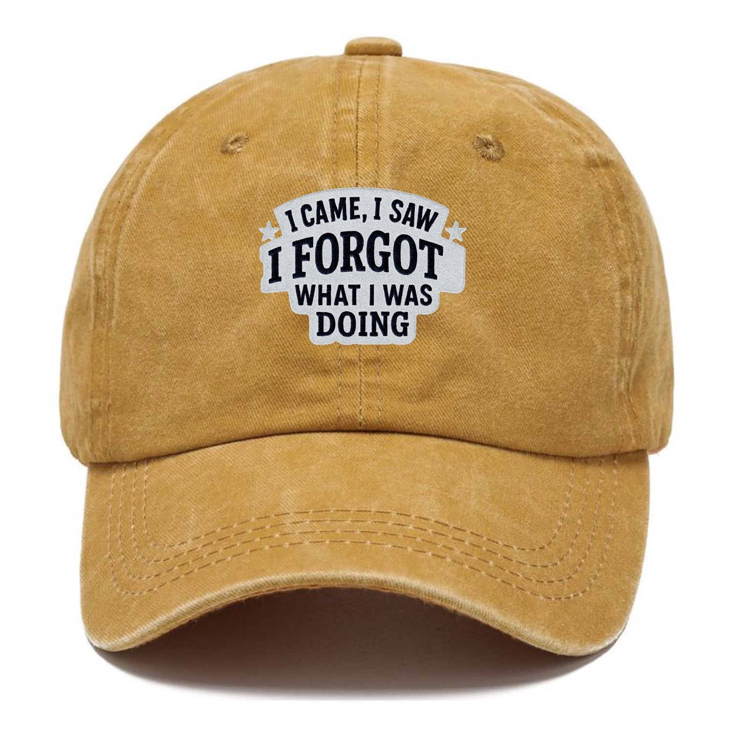 i came i saw i forgot what i was doing Hat