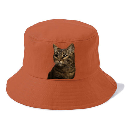munchkin-cat-charming-spirit Hat