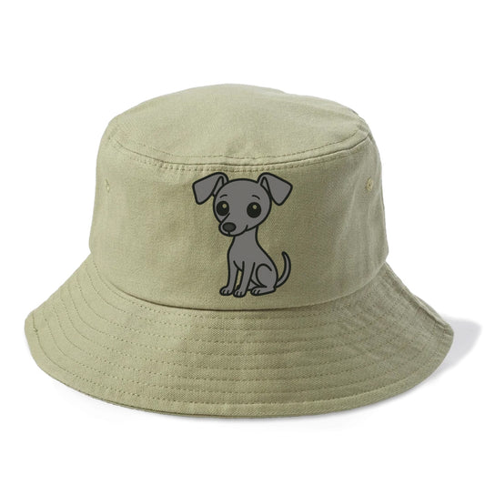 italian greyhound gray sitting pose with thin build portrait design Hat