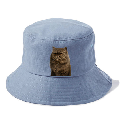 persian-cat-regal-elegance Hat