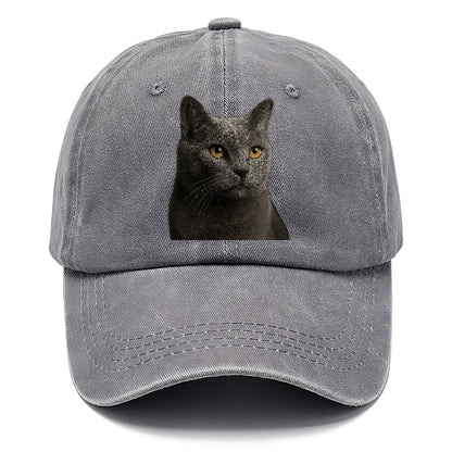 chartreux-quiet-grace Hat