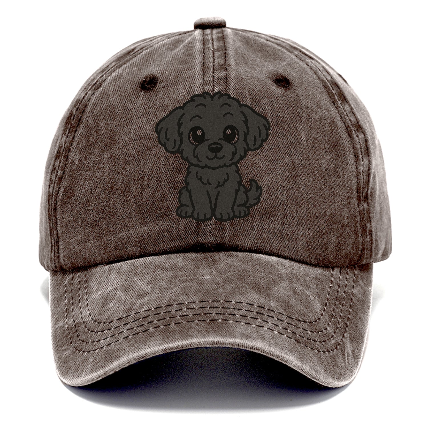 black maltipoo black curly sitting pose portrait design Hat