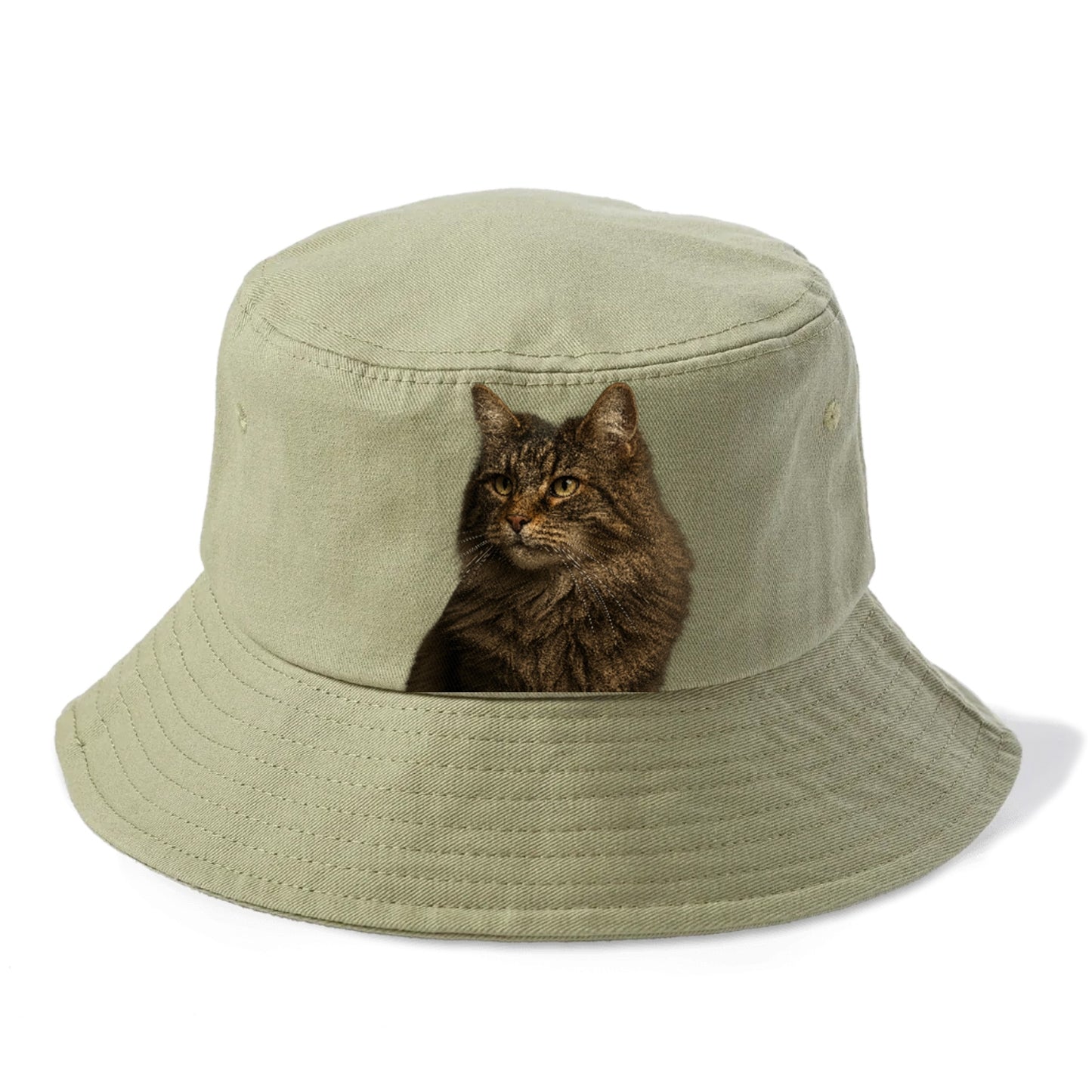 norwegian-forest-cat-wild-majesty Hat