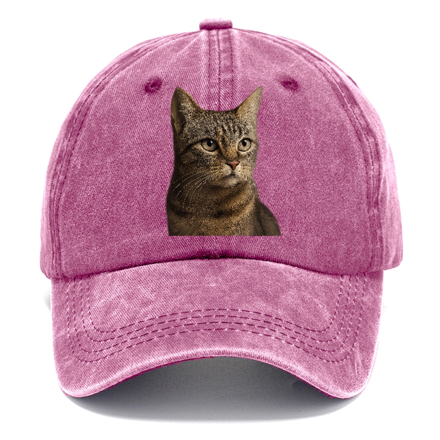 stray-cat-resilient-spirit Hat