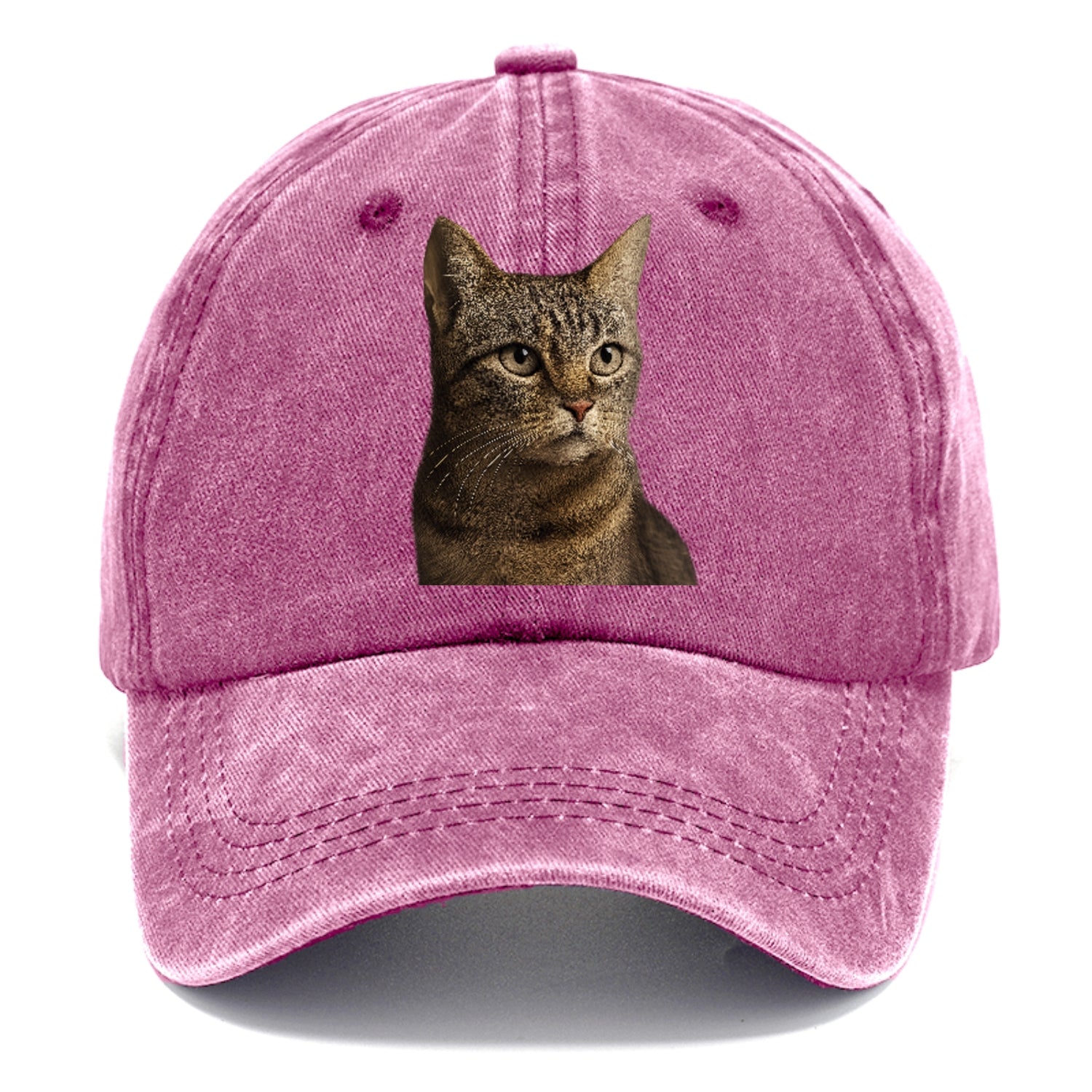 stray-cat-resilient-spirit Hat