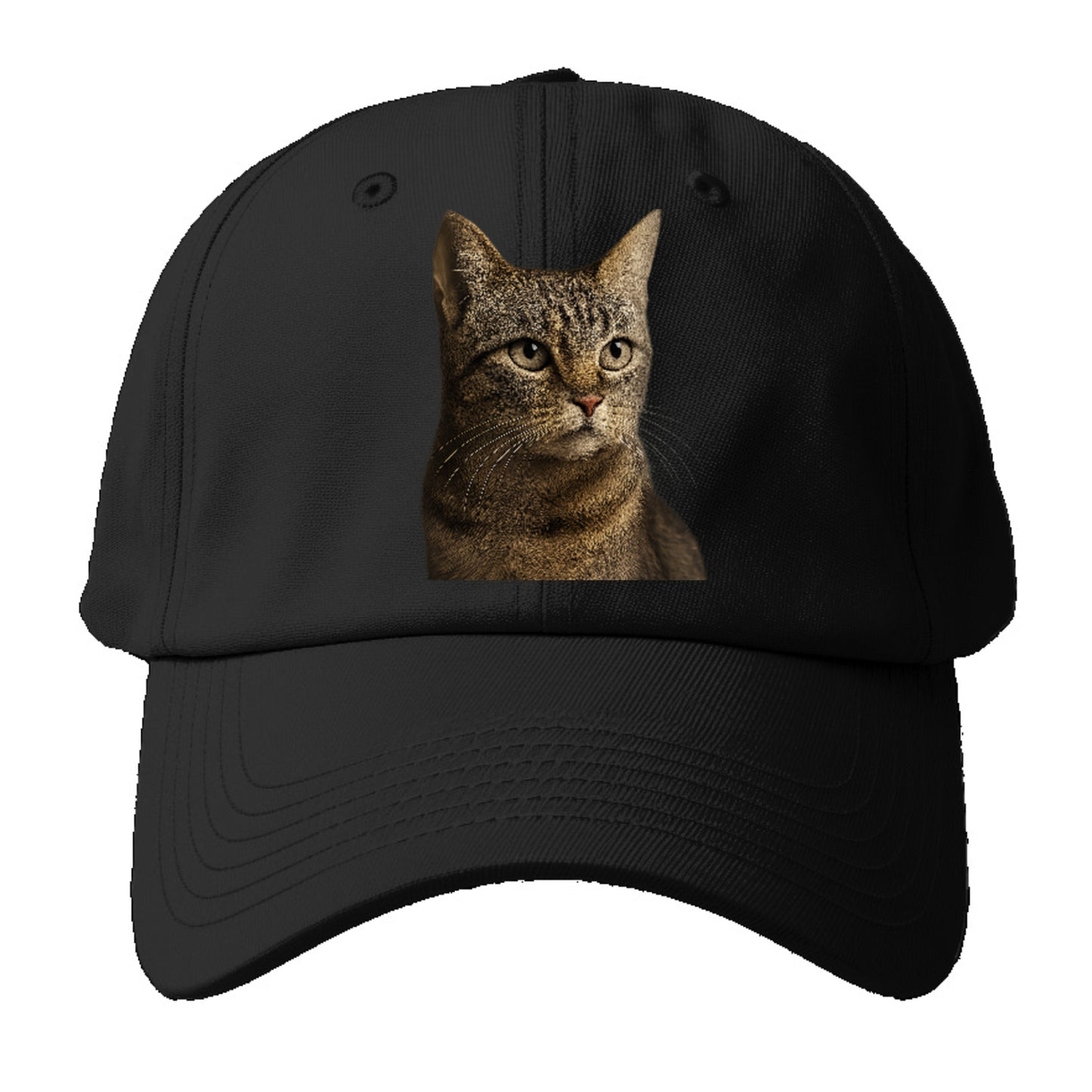 stray-cat-resilient-spirit Hat