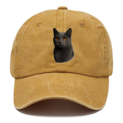 chartreux-gentle-grace Hat
