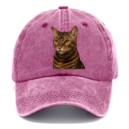 toyger-exotic-allure Hat