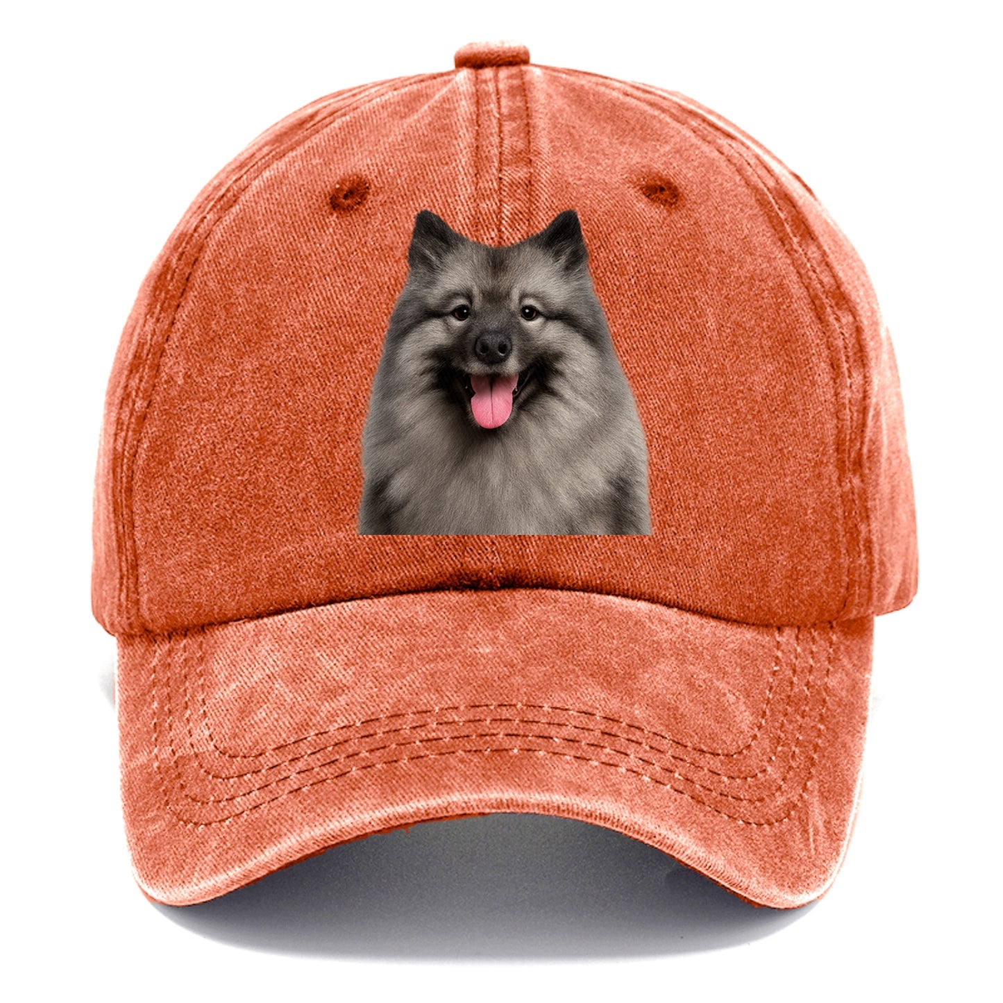 keeshond: silver fox spirit Hat