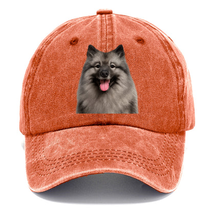 keeshond: silver fox spirit Hat