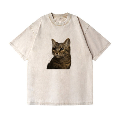 munchkin-cat-charming-spirit Hat