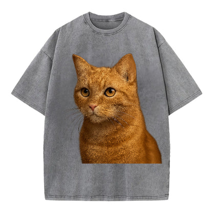 ginger-cat-playful-spirit Hat