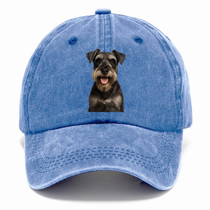 devoted Hat